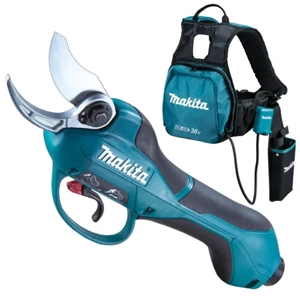 Pruning Shear