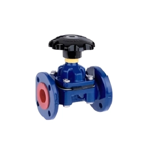 Diaphragm Valve