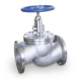 Globe Valve