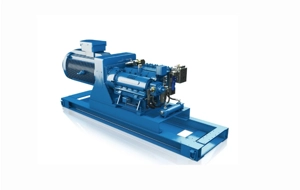Reciprocating Pump