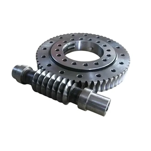 Worm Gear