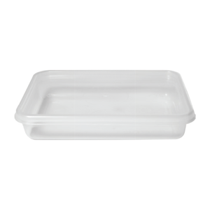 Disposable Food Container