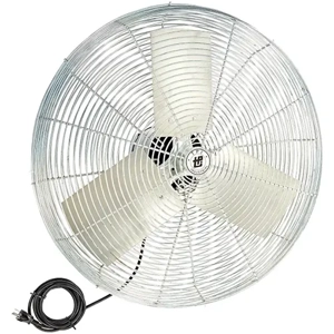 Ceiling Fan