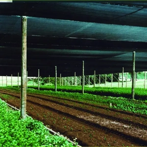 Architectural Fabric