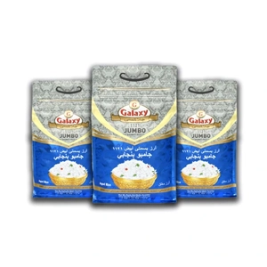 Rice Grain