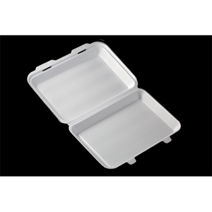 Disposable Food Container