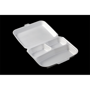Disposable Food Container