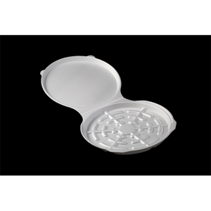 Disposable Food Tray