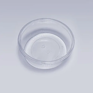 Disposable Food Tray