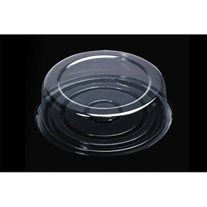 Disposable Lid