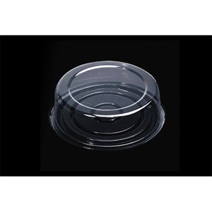Disposable Lid