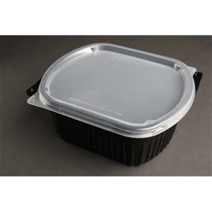 Food Container Base