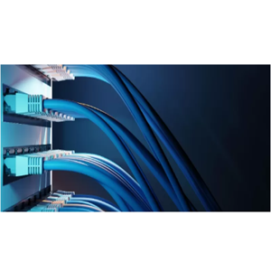 Information Technology Consultation Service