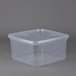 Disposable Food Container