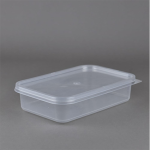 Disposable Food Container
