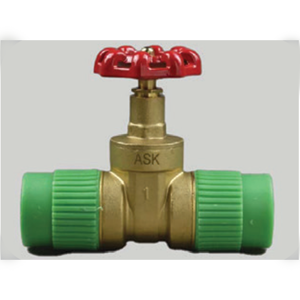 Gate Valve