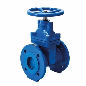 Gate Valve