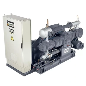 Gas Compressor