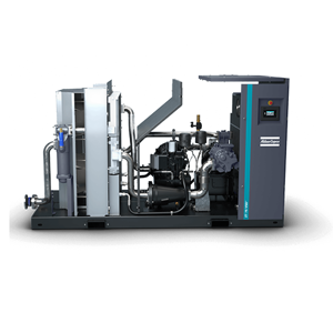 Rotary Screw Compressor