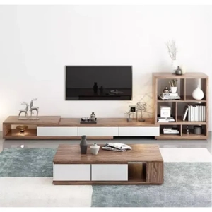 Television Unit