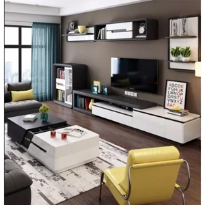 Television Unit