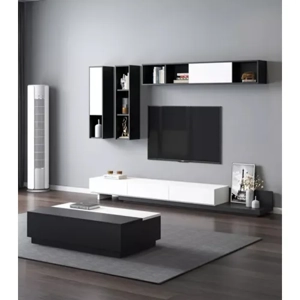 Television Unit