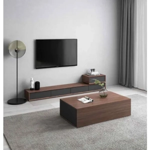Television Unit