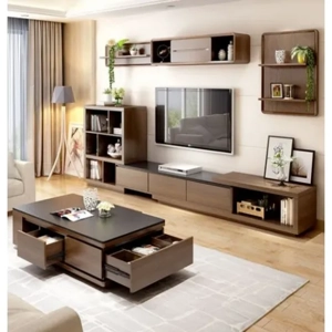 Television Unit