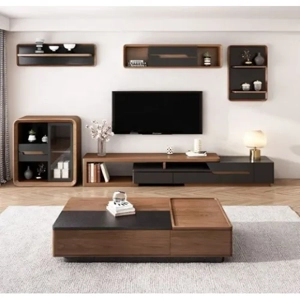 Television Unit