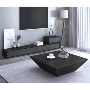Television Unit