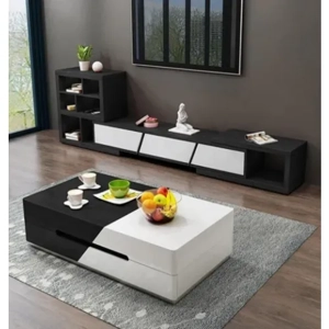 Television Unit