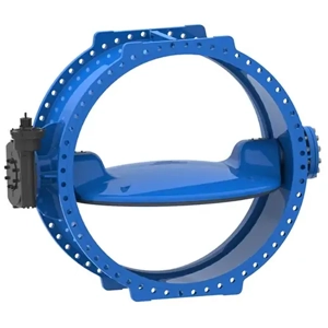 Butterfly Valve