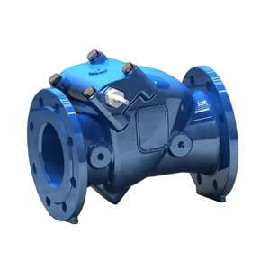 Check Valve