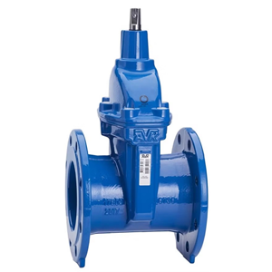 Gate Valve