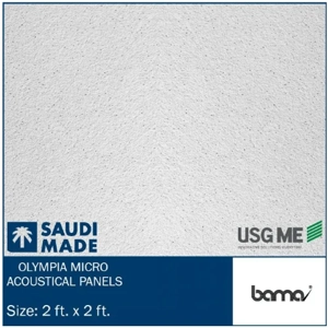Ceiling Panel
