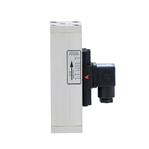 Flow Switch