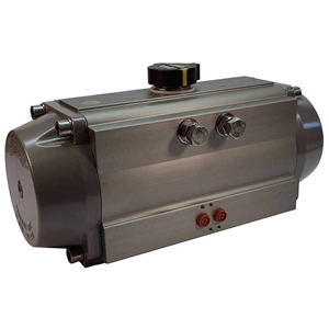 Pneumatic Actuator