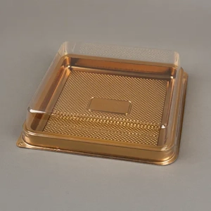 Disposable Food Container