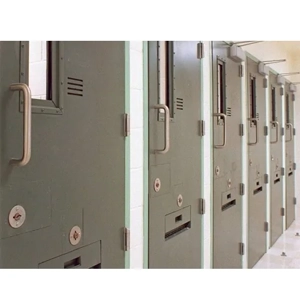 Security Door