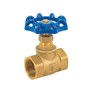 Globe Valve