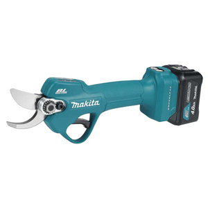 Pruning Shear