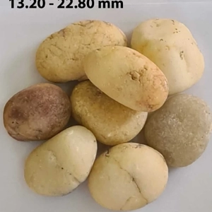 Pebble