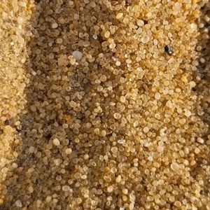 Silica Sand