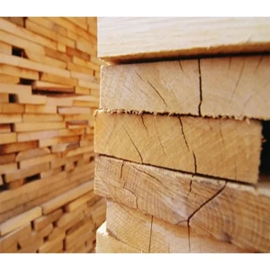 Softwood