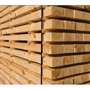 Softwood