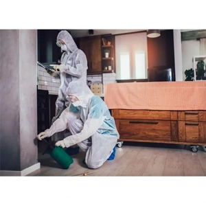 Structural Pest Control