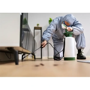 Termite Control Service