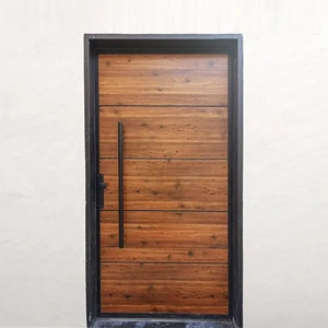 Cladding Door