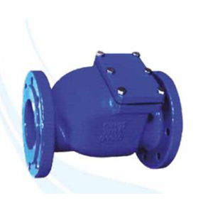 Check Valve