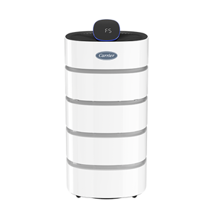Air Cleaner